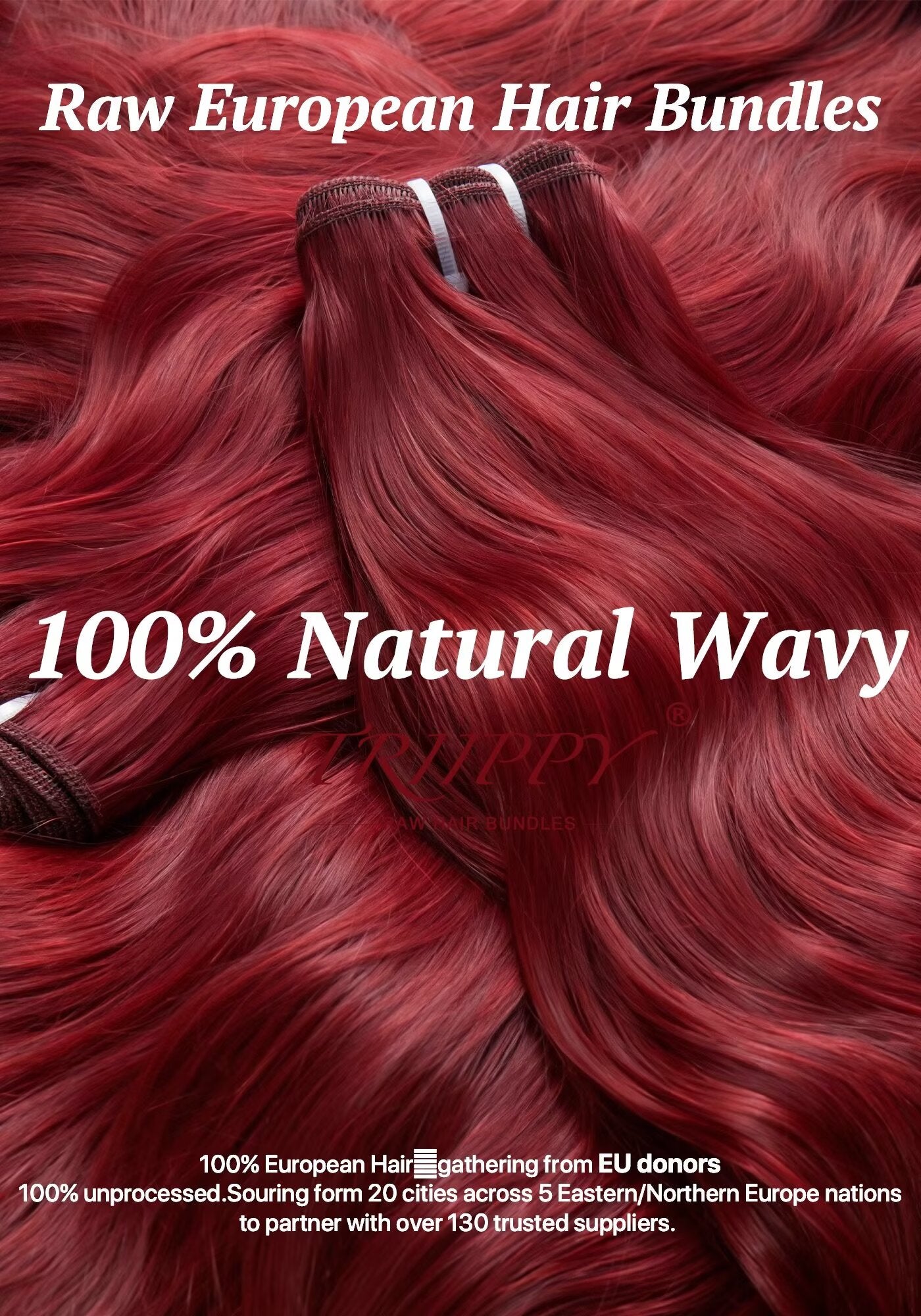 TRIIPPY Burgundy Natural Body Wave Bundles Human Hair,100% Vietnamese Raw Human Hair Sew in Weave Single Bundle,5X Lifespan Over Regular 99j Hair,No.1 Raw Hair Brand On Amazon
